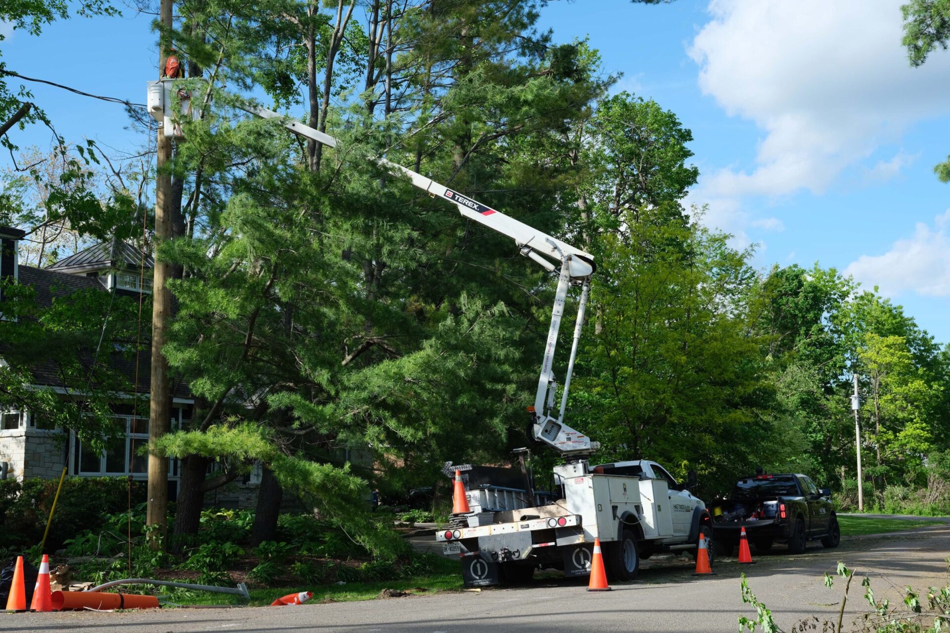 A person is working at height from a bucket truck near trees and utility poles, with orange traffic cones marking the area for safety.